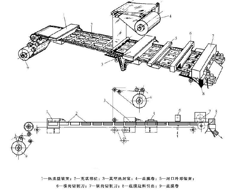 步進式大容器熱成型包裝(zhuāng)機