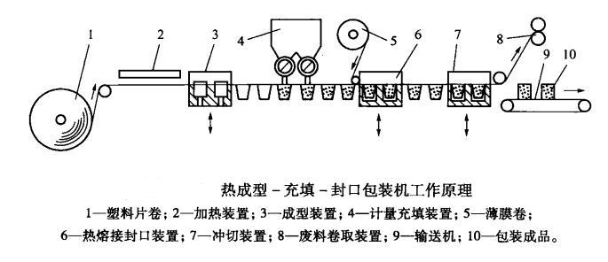 立式小型(xíng)熱成型包裝機