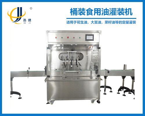 ZLDG-4係（xì）列桶裝食（shí）用油灌裝機